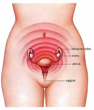 Endometriosis: Symptoms | Diagnosis | Treatment